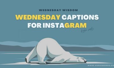 Wednesday Captions for Instagram