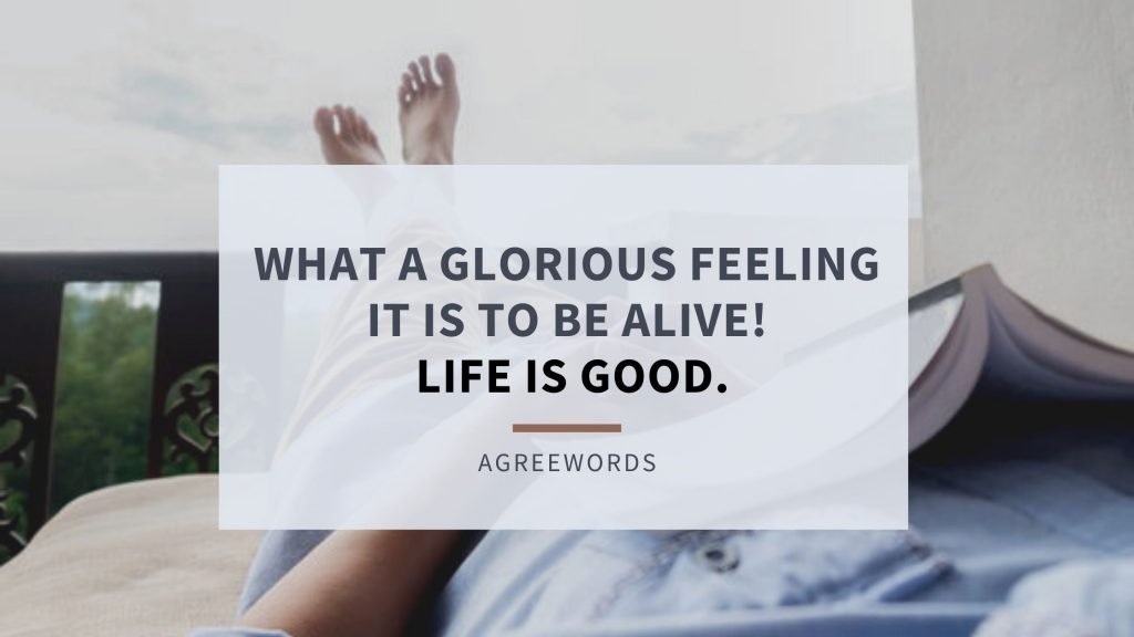 Friday Captions for WhatsApp Status