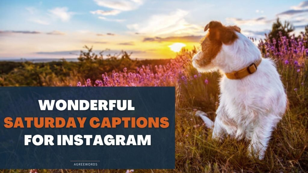 Saturday-Captions-For-Instagram