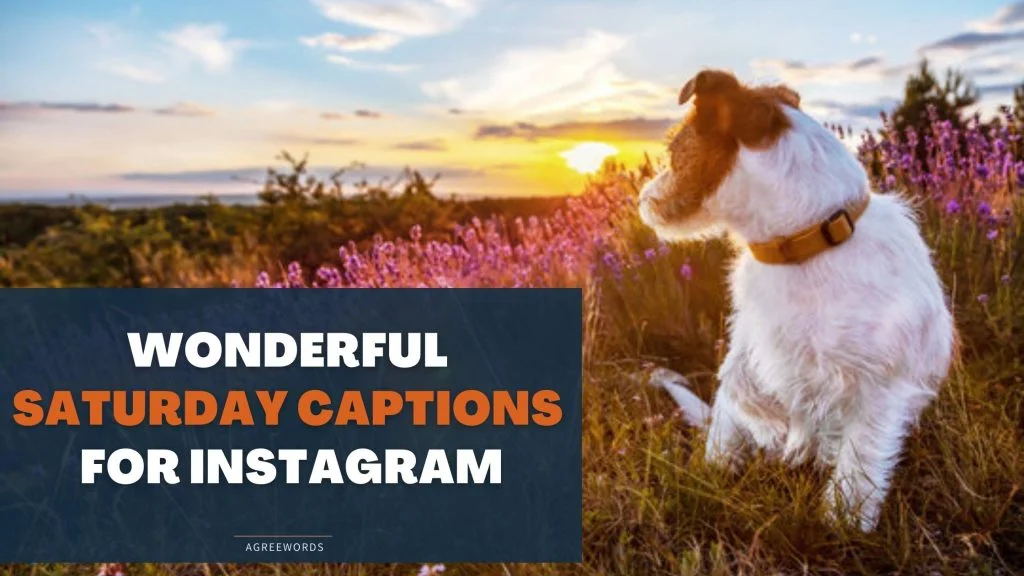 Saturday-Captions-For-Instagram