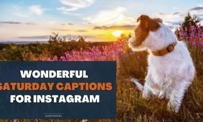 Saturday-Captions-For-Instagram