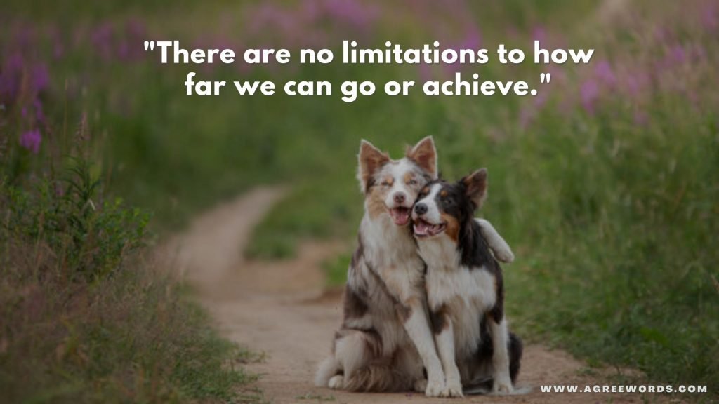 Throwback Saturday Captions