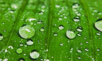 Captions For Your Monsoon Posts And Reels