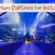 Aquarium-Captions-For-Instagram