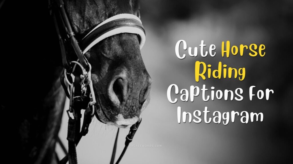 80+ Adorable Horse Instagram Captions for All Your Pics »