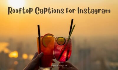 Rooftop-Captions-For-Instagram