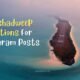Lakshadweep Captions