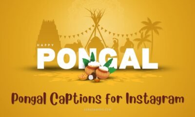 Pongal-Captions-for-Instagram
