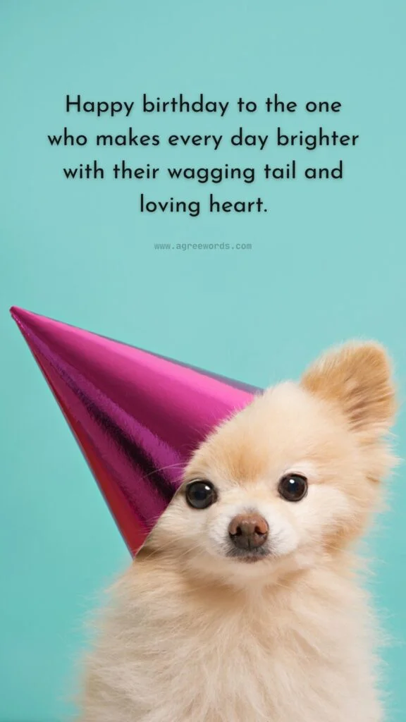 Short dog birthday captions on instagram for girl