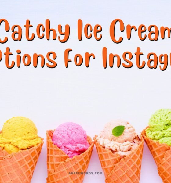 Ice Cream Captions For Instagram