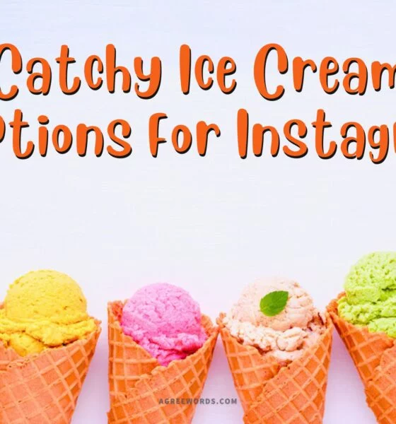 Ice Cream Captions For Instagram