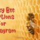 Honey Bee Captions For Instagram