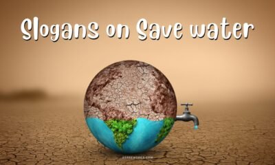 Slogans on Save Water